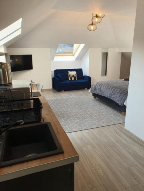 FAMILY STUDIO Sinaia